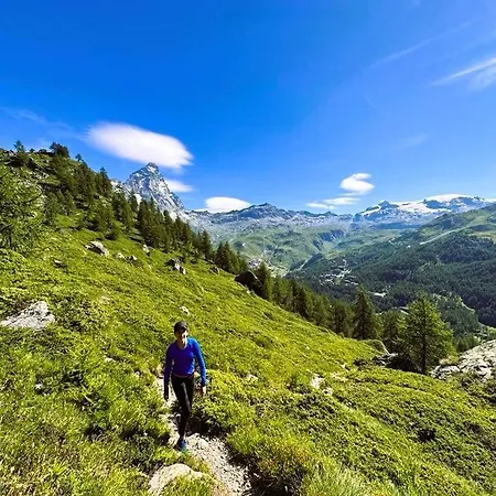 Fairway Alpstuga *