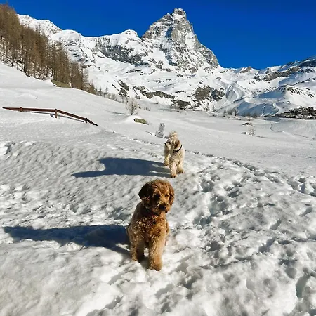 Chalet Fairway Breuil-Cervinia