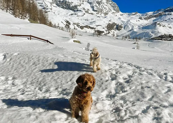 Chalet Fairway Breuil-Cervinia